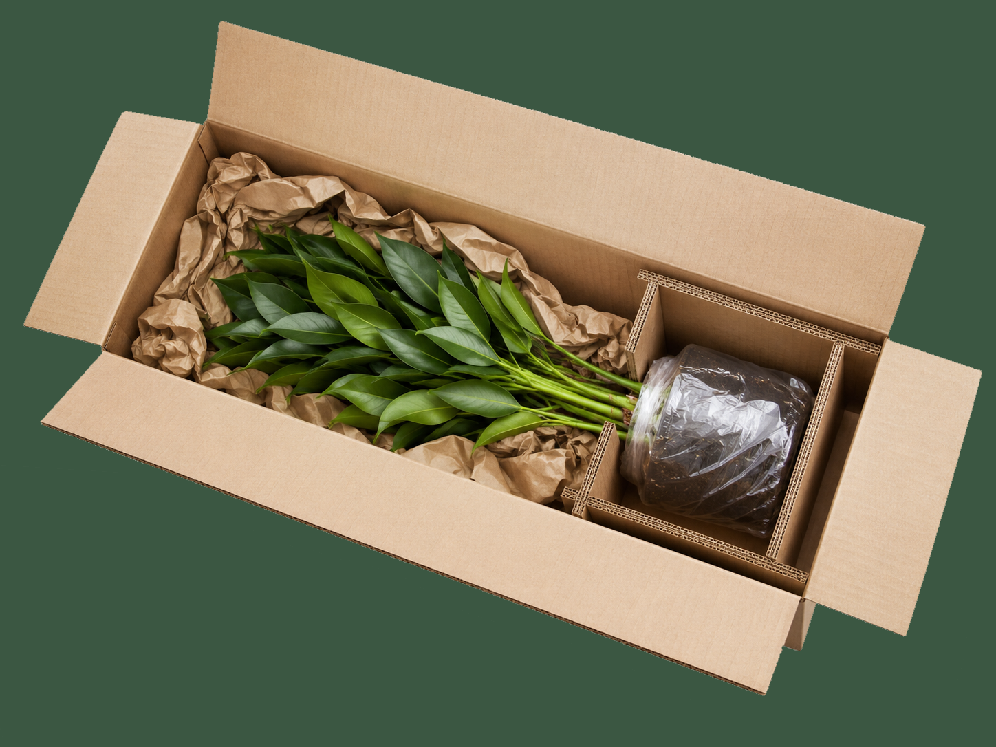 Emballer une plante en pot