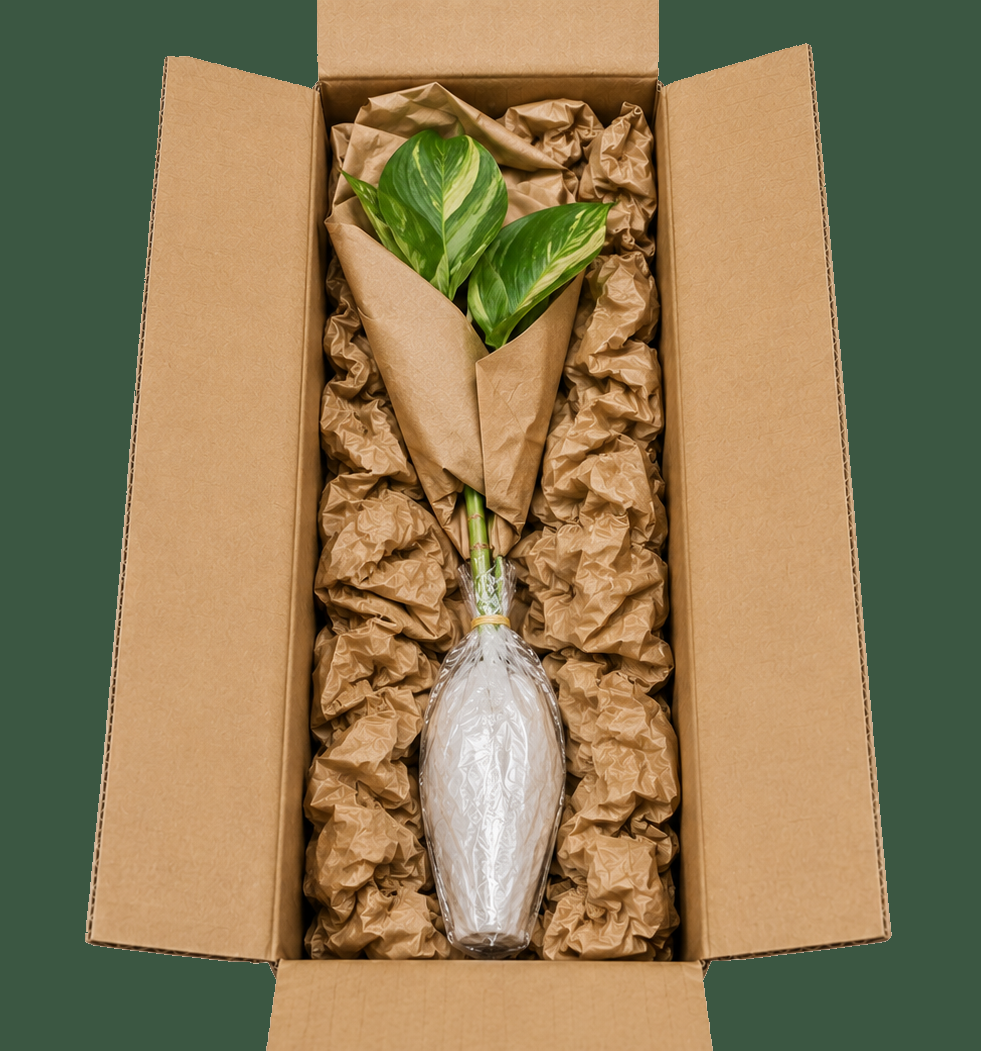 Emballer une bouture